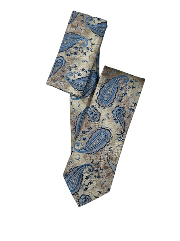 Silk Touch - Brown & Blue Paisley