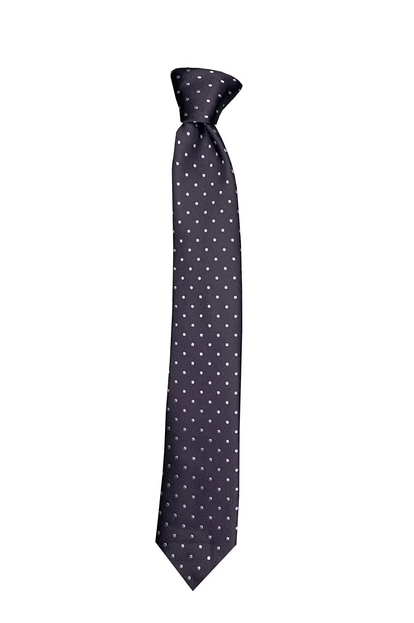 Silk Touch - Black Polka Dot Skinny Tie